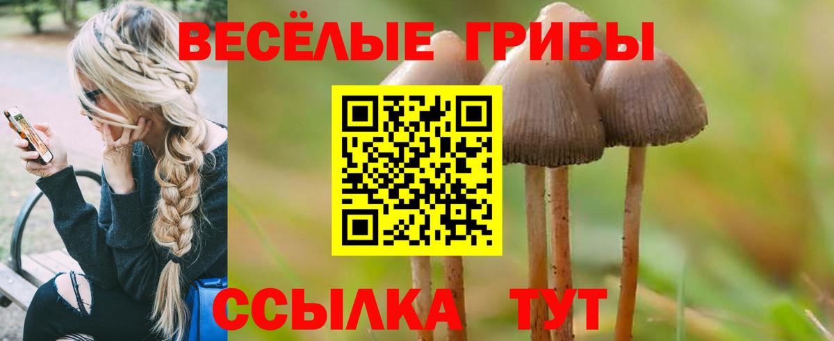 Галлюциногенные грибы Cubensis  Вход с VPN  Новоалександровск 